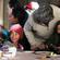Pare Moses, left, considers her menu options before responding to Jan Barleyman.