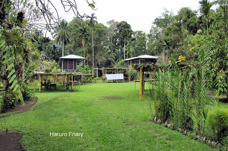 Haruro Friary, which is near Pondetta in PNG - Br Brian was there for more than 12 years. Haruro Friary, which is near Pondetta in PNG - Br Brian was there for more than 12 years.