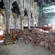 Inside the nave of ChristChurch Cathedral. Photo: The Press