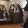 The Carmelites take the Pledge while the Wizard looks on. Photo: Fairfax