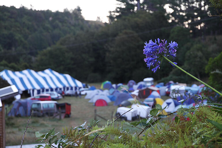 Early morning at Passionfest, which Ngatiawa hosts each summer. Early morning at Passionfest, which Ngatiawa hosts each summer.