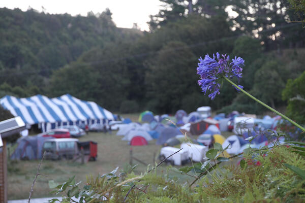 Dawn breaks over the Passionfest. Marquee at left, tent city at right.