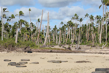 Rising sea levels have poisoned about 20 percent of the low-lying island of Pangaimotu. 