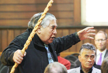 Napi Waaka in full cry for Tainui.