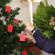 The Cobden-Runanga Vicar Tim Mora and his wife Nikki decorate their tree with 29 angels, for the lost 29 miners.