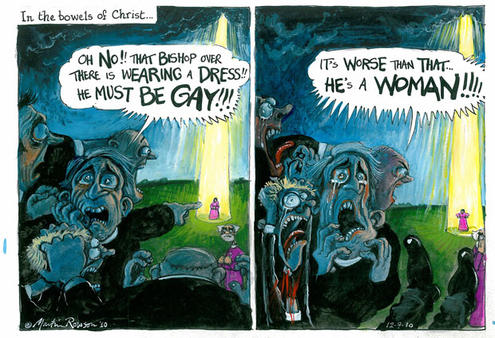 How the London Guardian's cartoonist saw the vote on women bishops in the Church of England.