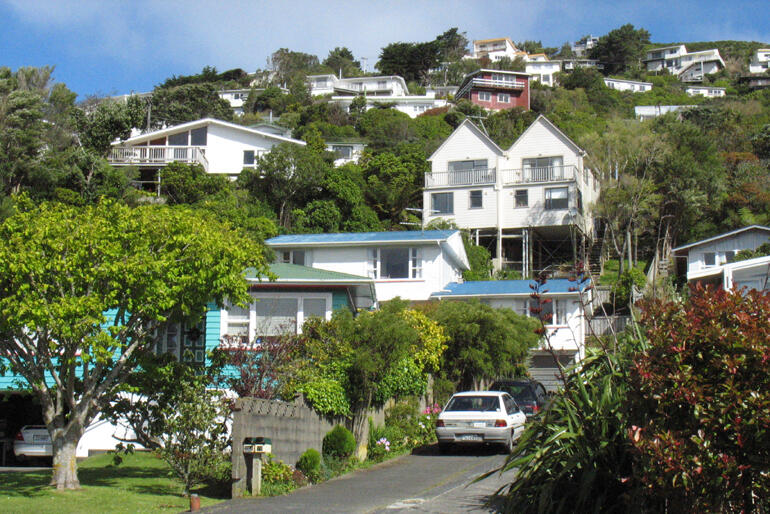 When did Kiwi home ownership slip away? Houses like these on a Wellington hillside are now more likely to be rented than owner-occupied. When did Kiwi home ownership slip away? Houses like these on a Wellington hillside are now more likely to be rented than owner-occupied.