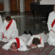  Wellington ordinands prostrate themselves as the Holy Spirit is invoked. Photo/Jay Berryman