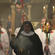 Bells and smoke for the installation of Bishop Victoria Matthews in Christchurch.