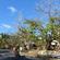 Downtown Funafuti in Tuvalu - note how the trees are dying, their roots poisoned by rising sea water.