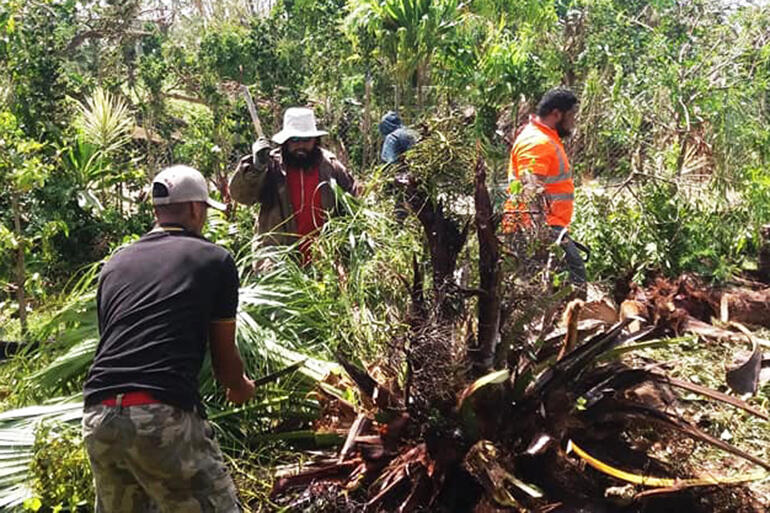 Dealing to a fallen palm. Pix by Fei Tevi. Dealing to a fallen palm. Pix by Fei Tevi.