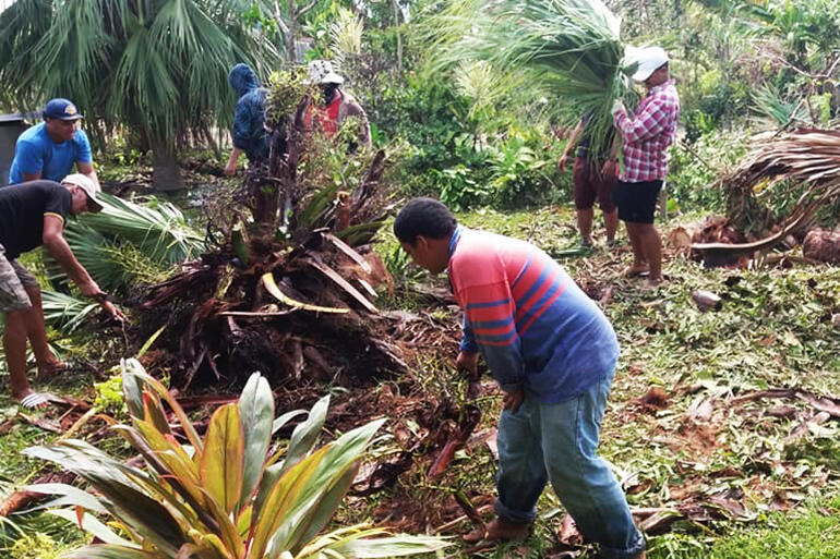 Young men from All Saints Fasi removing a palm uprooted by Cyclone Gita. Pic by Fei Tevi. Young men from All Saints Fasi removing a palm uprooted by Cyclone Gita. Pic by Fei Tevi.