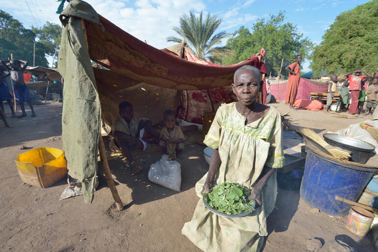 In an Episcopal church compound in Sudan, Araj shows the wild leaves, or 'hunger food' she has to feed her family. © ACT/Paul Jeffrey. In an Episcopal church compound in Sudan, Araj shows the wild leaves, or 'hunger food' she has to feed her family. © ACT/Paul Jeffrey.
