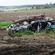 When nature slips the chain: among the debris-strewn paddocks in the Lockyer Valley.