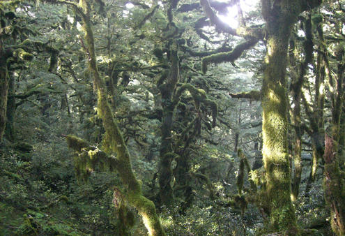 Waikaremoana: a place apart.