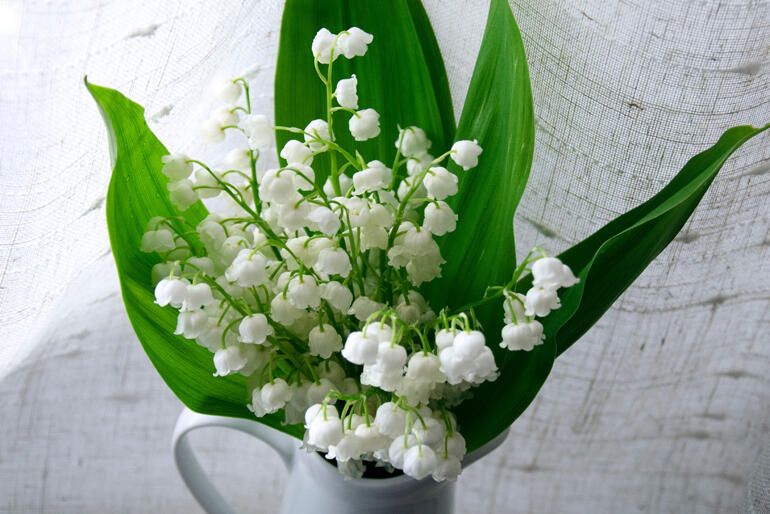 Too perfect to be real? Adrienne Thompson reflects on a long-remembered dusty plastic Lily of the Valley.