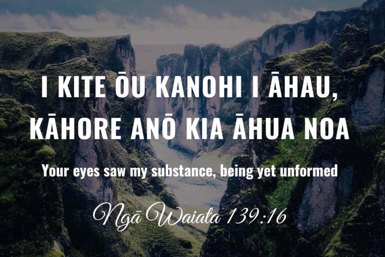 Scripture reveals God's vision of Aotearoa formed in God's image. Scripture reveals God's vision of Aotearoa formed in God's image.