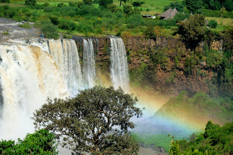 14 African Anglican primates and bishops have named the River Nile as a gift from God and called for its protection. Photo: Daniele Pelusi/Unsplash.