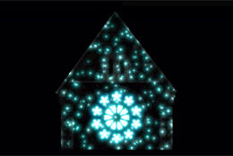 Cathedral lights up for Matariki