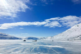Climate impacts Arctic: Bishops