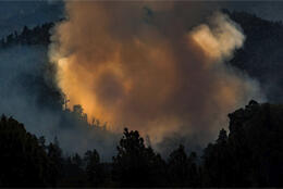 A huge plume of thick hot smoke looms in a tree-covered valley