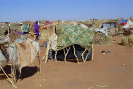 Makeshift shelters using mats, animal hides and sticks sit on bare earth stretching into the distance