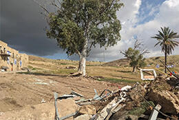 A tree stands in a field with scraped earth and remains of a demolished building