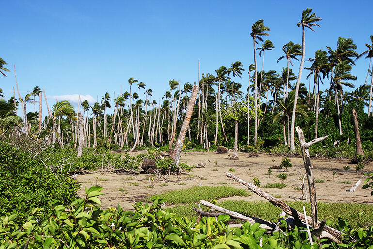 Pangaimotu Island, near Nuku'alofa - which is being slowly poisoned by rising salt water, says Archbishop Winston.