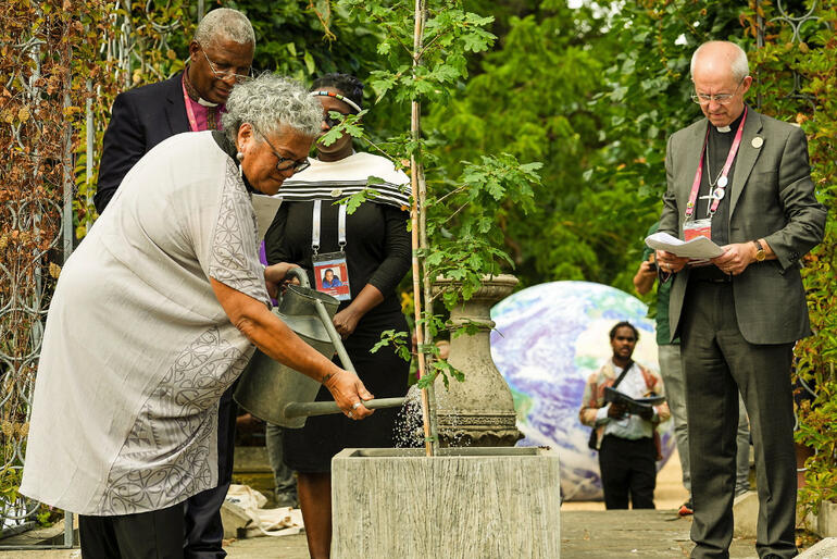 Abp Thabo Makgoba, Mandisa Gumada & Abp Justin Welby look on as Rev Jacynthia Murphy waters the first tree in the Communion Forest.