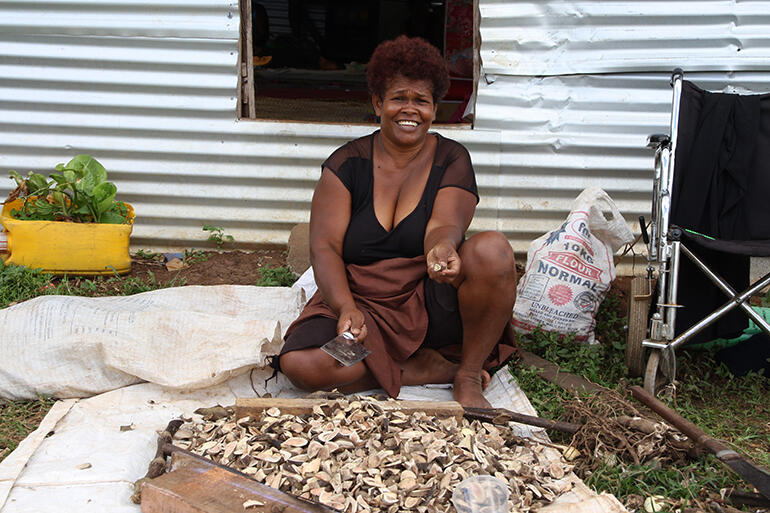 Life goes on: one of the Maniava women chops the yangona plant, so it's ready for sale and processing into kava.