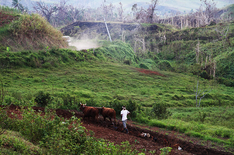 Ploughing and replanting begins - a shot taken on the road into Maniava.