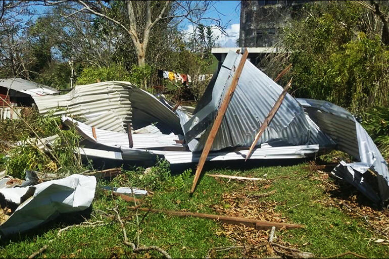 Corrugated iron which, thanks to Pam, has now passed its use-by date.