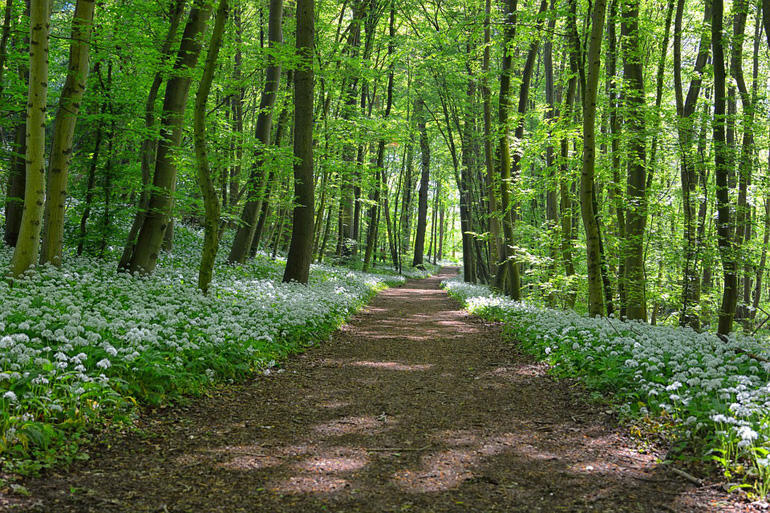 Walking the path to inner strength: The Selwyn Foundation 2019 Spirituality and Ageing conference will focus on building resilience as older people. Walking the path to inner strength: The Selwyn Foundation 2019 Spirituality and Ageing conference will focus on building resilience as older people.