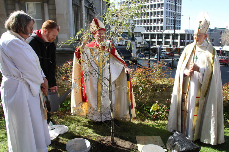 Bishop Steven blesses the 150th commemorative kowhai tree. 
