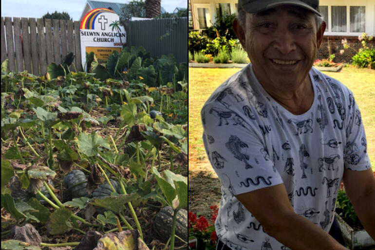 Maloaufaatasi Tuilaepa with one of the food producing gardens he has led Selwyn Anglican Church in Mangere East to make from seldom-used lawn space. Maloaufaatasi Tuilaepa with one of the food producing gardens he has led Selwyn Anglican Church in Mangere East to make from seldom-used lawn space.