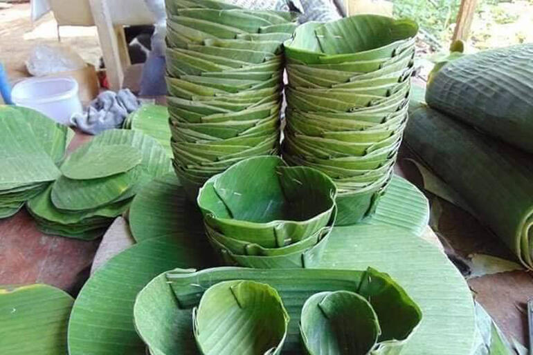 Disposable tableware made the traditional way, with banana leaves, sit ready to hold the food prepared at a 'No Pelestiki' event. Disposable tableware made the traditional way, with banana leaves, sit ready to hold the food prepared at a 'No Pelestiki' event.