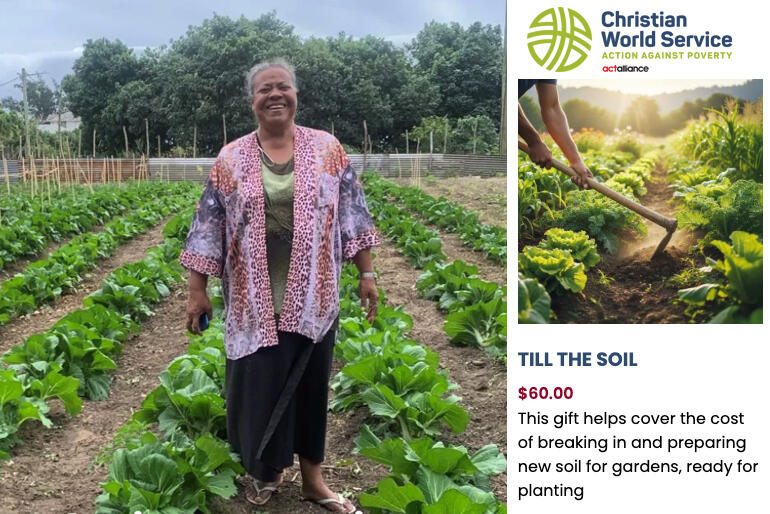 Christian World Service supports partners in the Middle East war zone and food resilience as far away as Tonga.