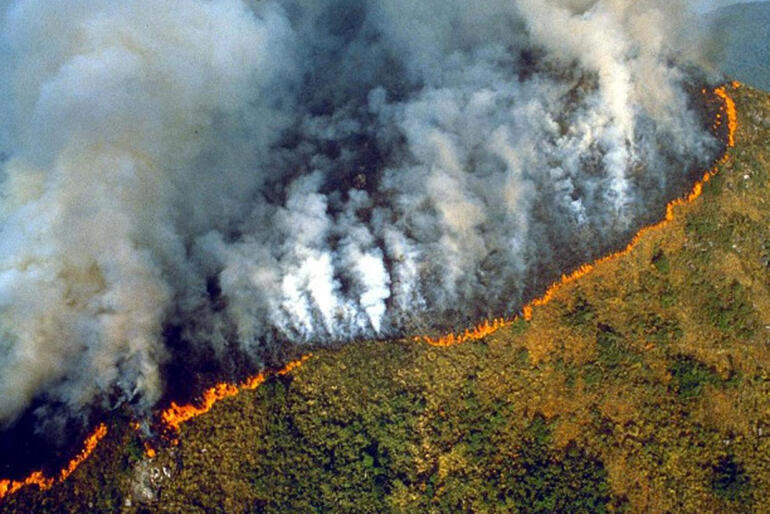 The No Deforestation Investors' Statement comes in response to fires burning across Brazil and Bolivia's Amazon regions. Photo: www3.inpe.br